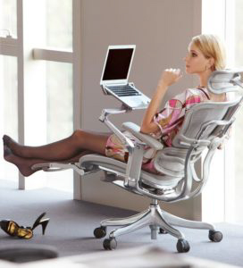 Ergo Computer Chair Example